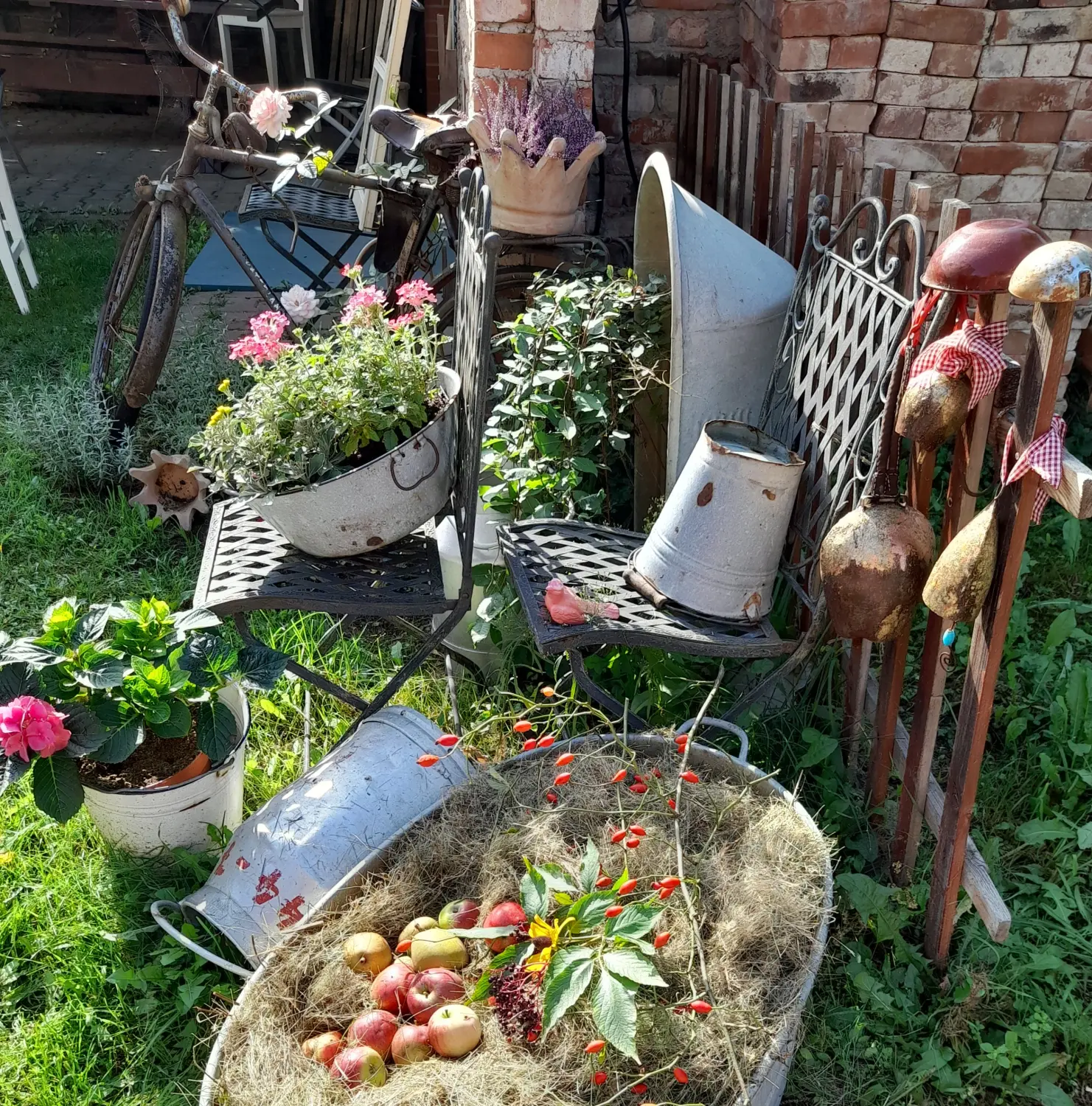 Früchte in einem Garten